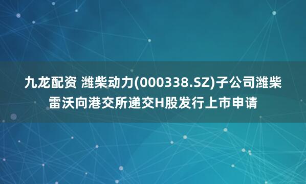 九龙配资 潍柴动力(000338.SZ)子公司潍柴雷沃向港交所递交H股发行上市申请