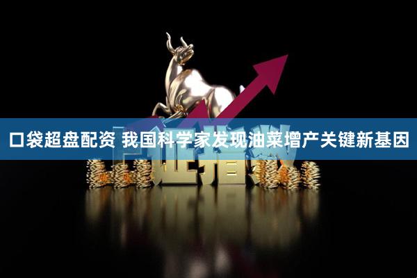 口袋超盘配资 我国科学家发现油菜增产关键新基因
