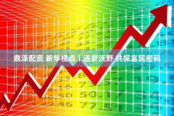 鼎泽配资 新华视点丨逐梦沃野 共探富民密码