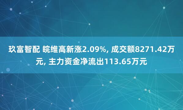 玖富智配 皖维高新涨2.09%, 成交额8271.42万元, 主力资金净流出113.65万元