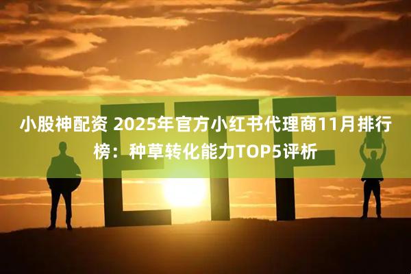小股神配资 2025年官方小红书代理商11月排行榜：种草转化能力TOP5评析